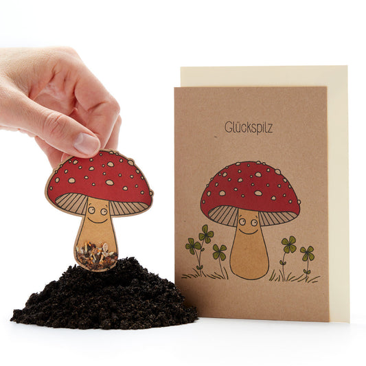 Grußkarte "Glückspilz"