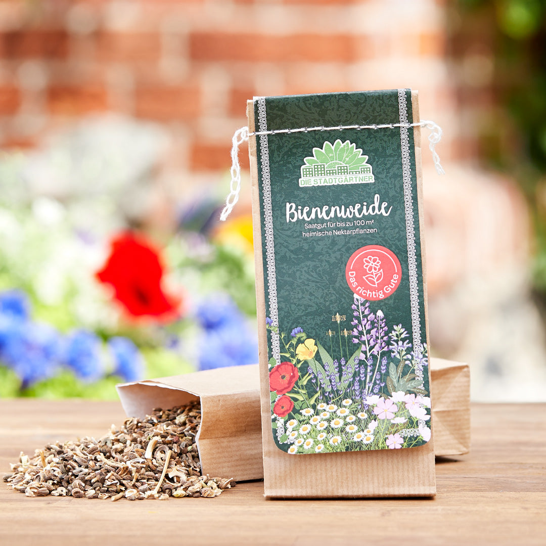 100 g Bienenweide-Saatgut