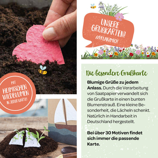 10 wachsende Grußkarten im Set