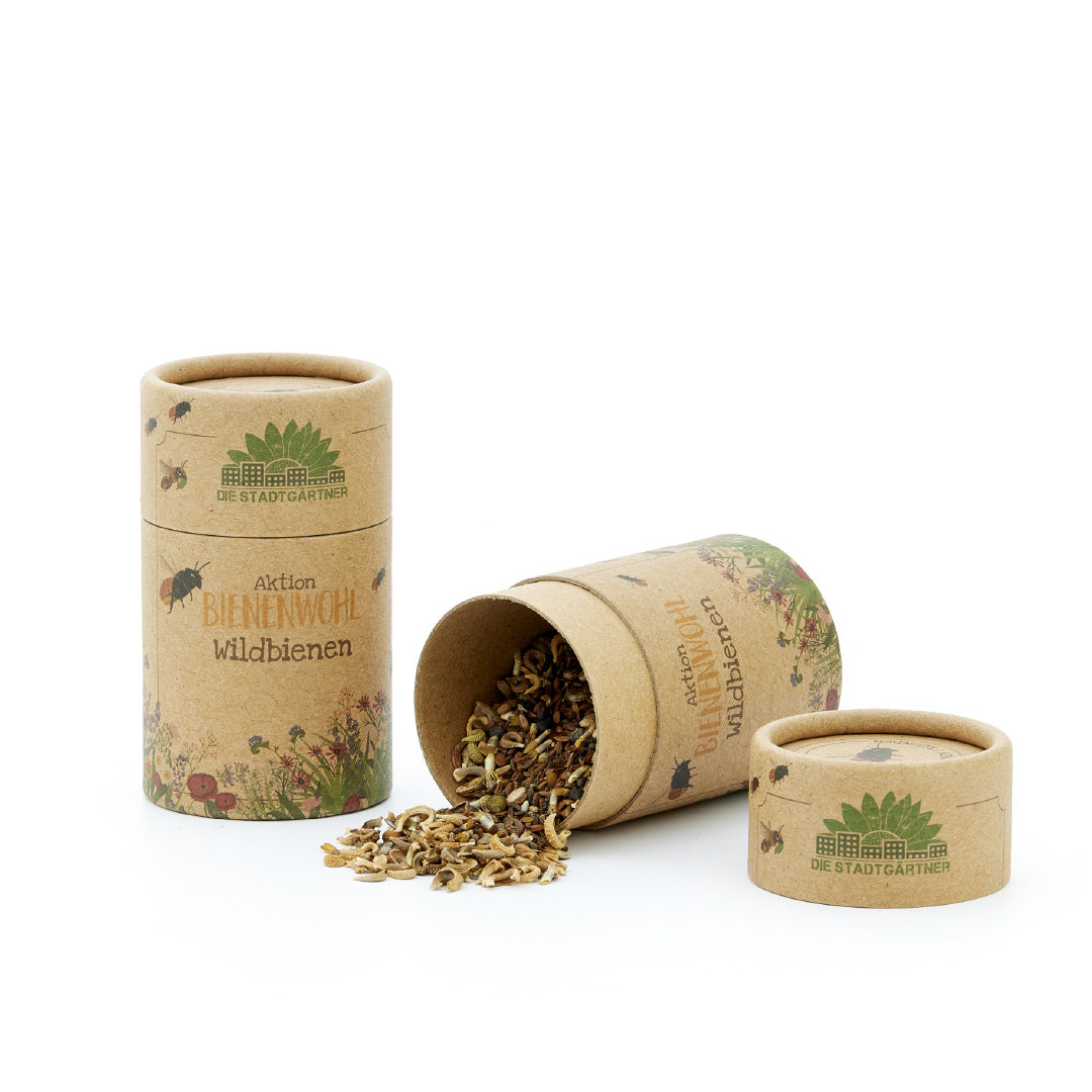 30 m² Wildbienenwiese – Saatgut-Mix