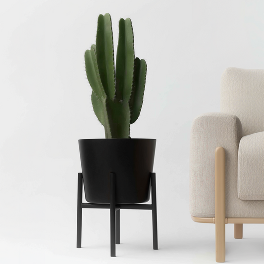 Cactus Cowboy-Kaktus - Euphorbia Ingens - Höhe 85-95Cm - ⌀24Cm