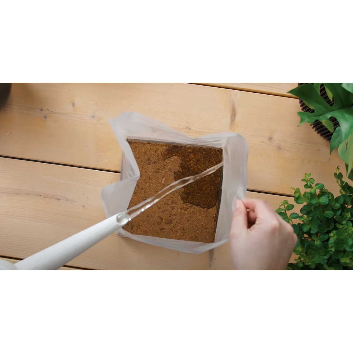 Potting Soil Pokon Blumenerde Compact - Kokoserde - Haus Und Garten - 10 Liter