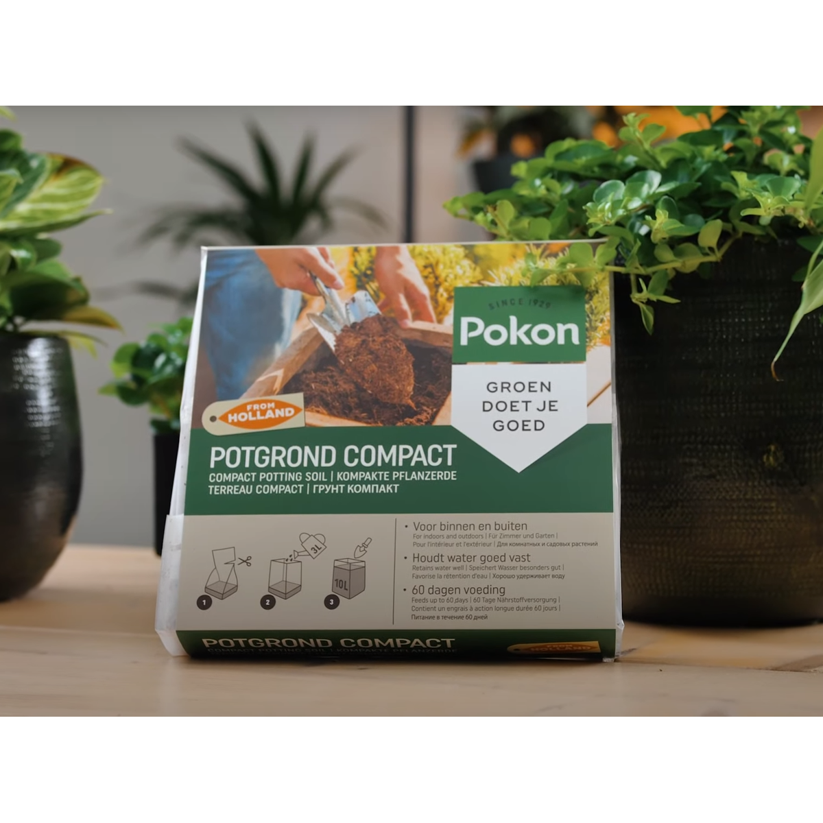 Potting Soil Pokon Blumenerde Compact - Kokoserde - Haus Und Garten - 10 Liter