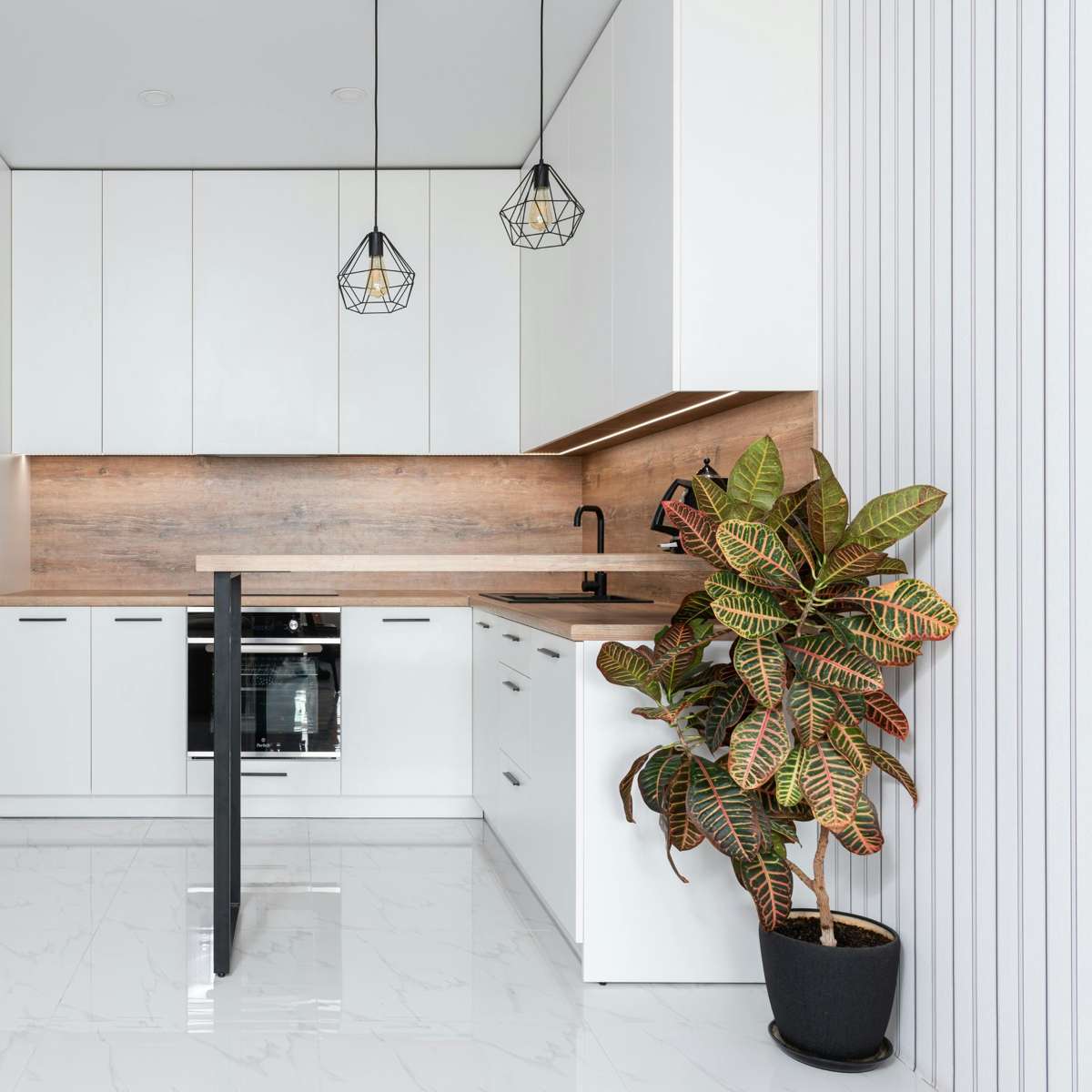 Other Green Houseplants Kroton - Codiaeum Variegatum 'Mrs. Iceton' - Höhe 140-150Cm - ⌀31Cm