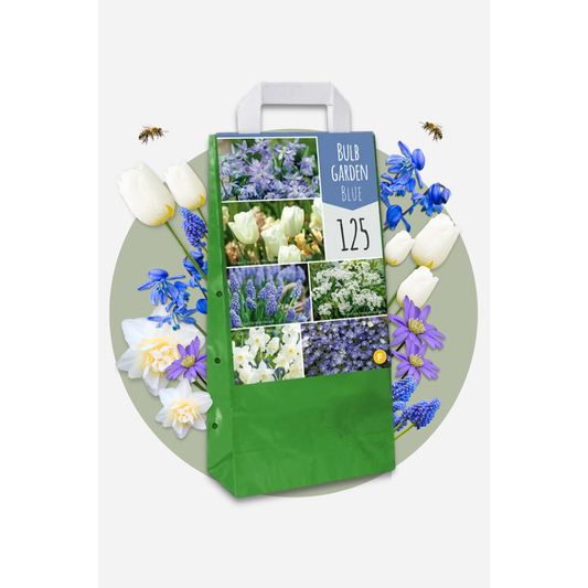 Bulb Mix Blumenzwiebelmischung - 250 Stk - Allium, Narcissus, Muscari, Tulipa - Blau