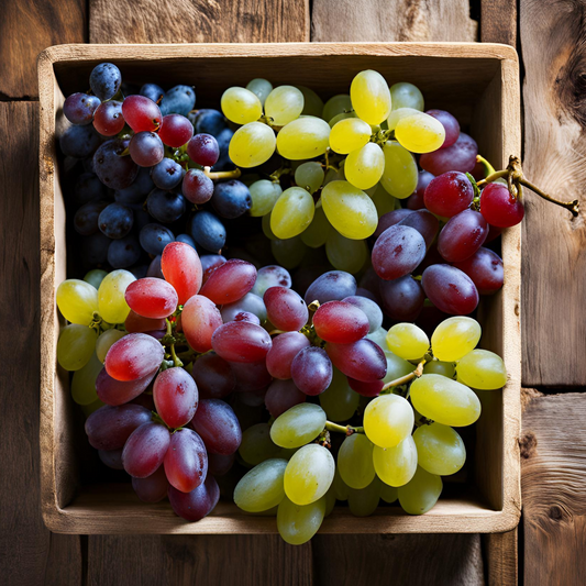 Fruit Trees Traubenpflanze - 6 Stk - Vitis Vinifera - Höhe 25-40Cm - ⌀9Cm