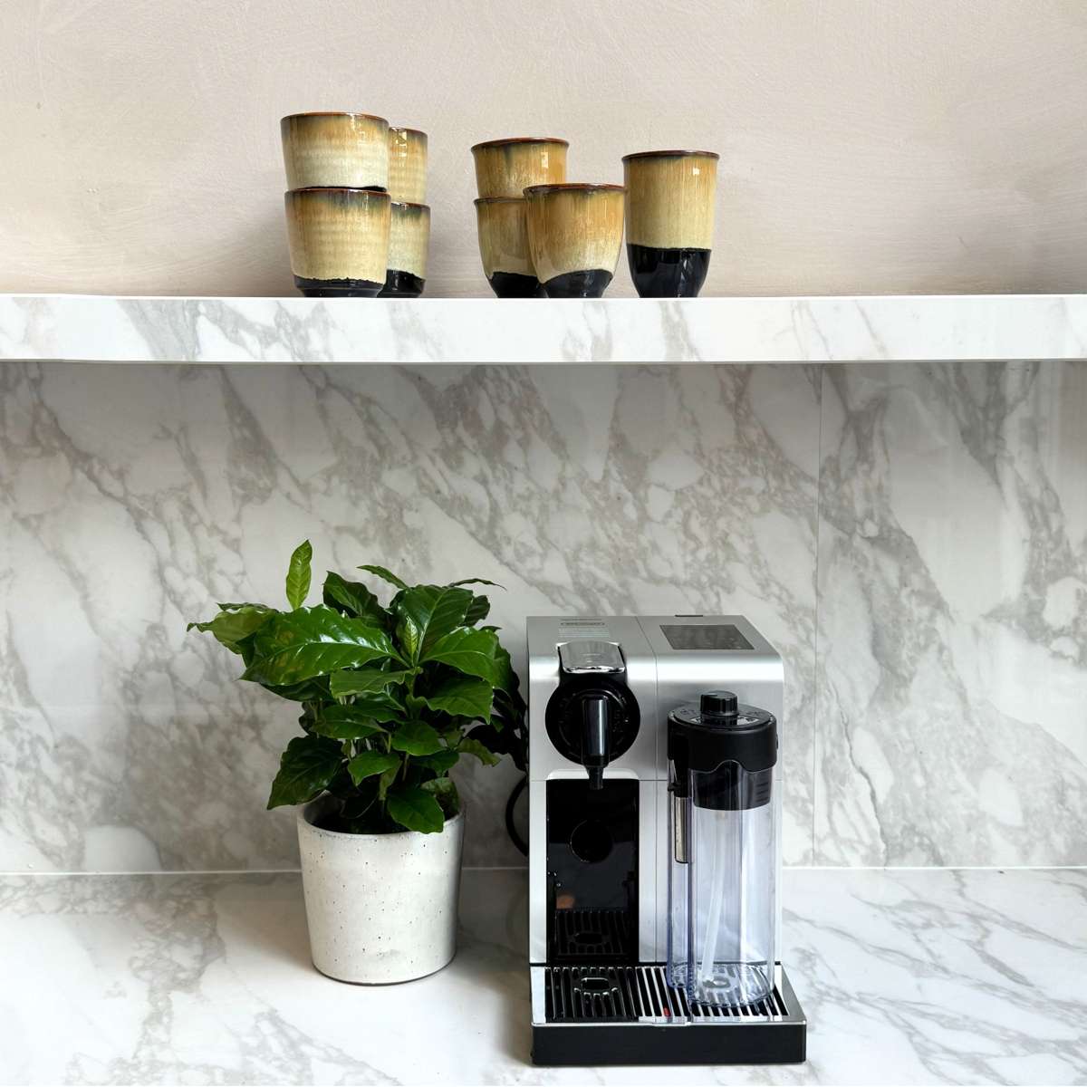 Other Green Houseplants Kaffeepflanze - 4 Stk - Coffea Arabica - Höhe 25-40Cm - ⌀12Cm