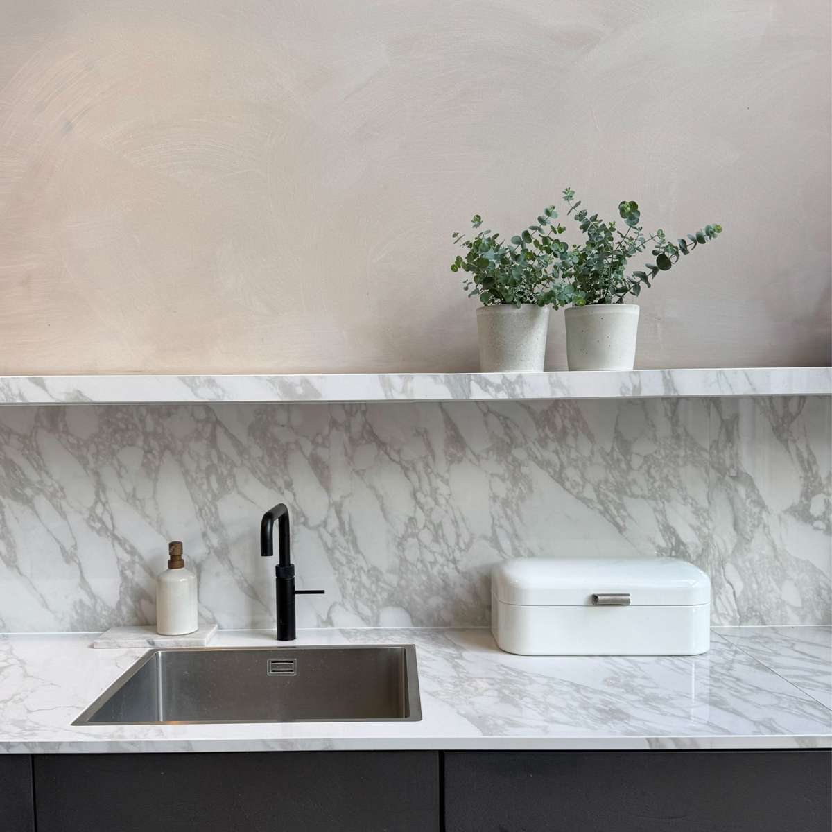 Other Garden Plants Eukalyptus - 4 Stk - Eucalyptus 'Pulverulenta' - Höhe 25-40Cm - ⌀12Cm