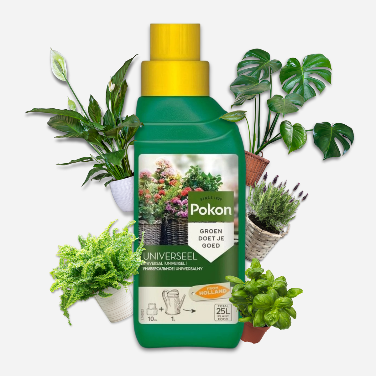 Plant Food Pokon Universelles Flüssiges Pflanzenfutter - 500 Ml