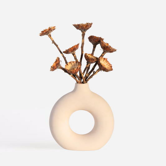 Dried Flowers Getrocknete Blumen - 10 Stk. - Strauß 'Protea Compacta'