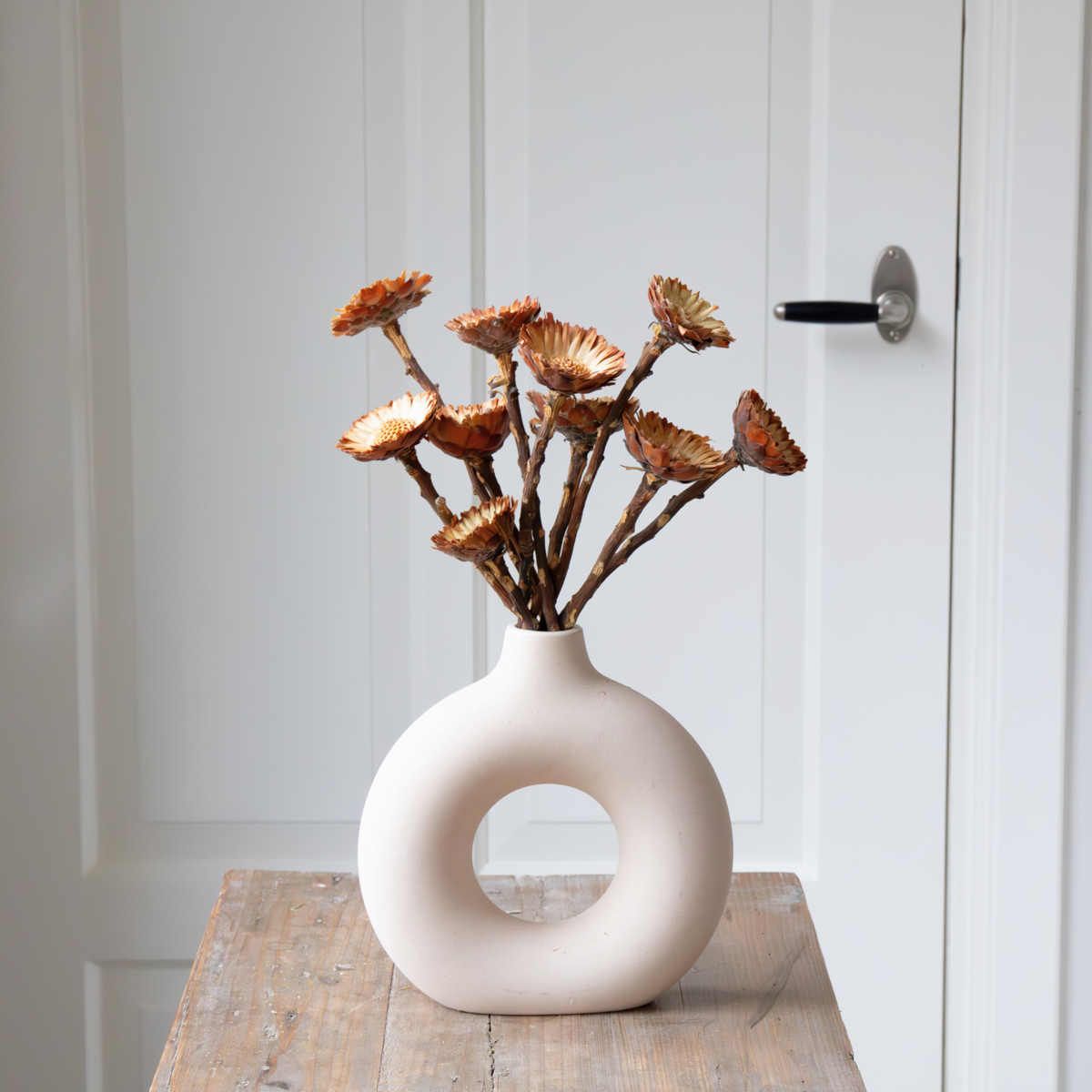 Dried Flowers Getrocknete Blumen - 10 Stk. - Strauß 'Protea Compacta'