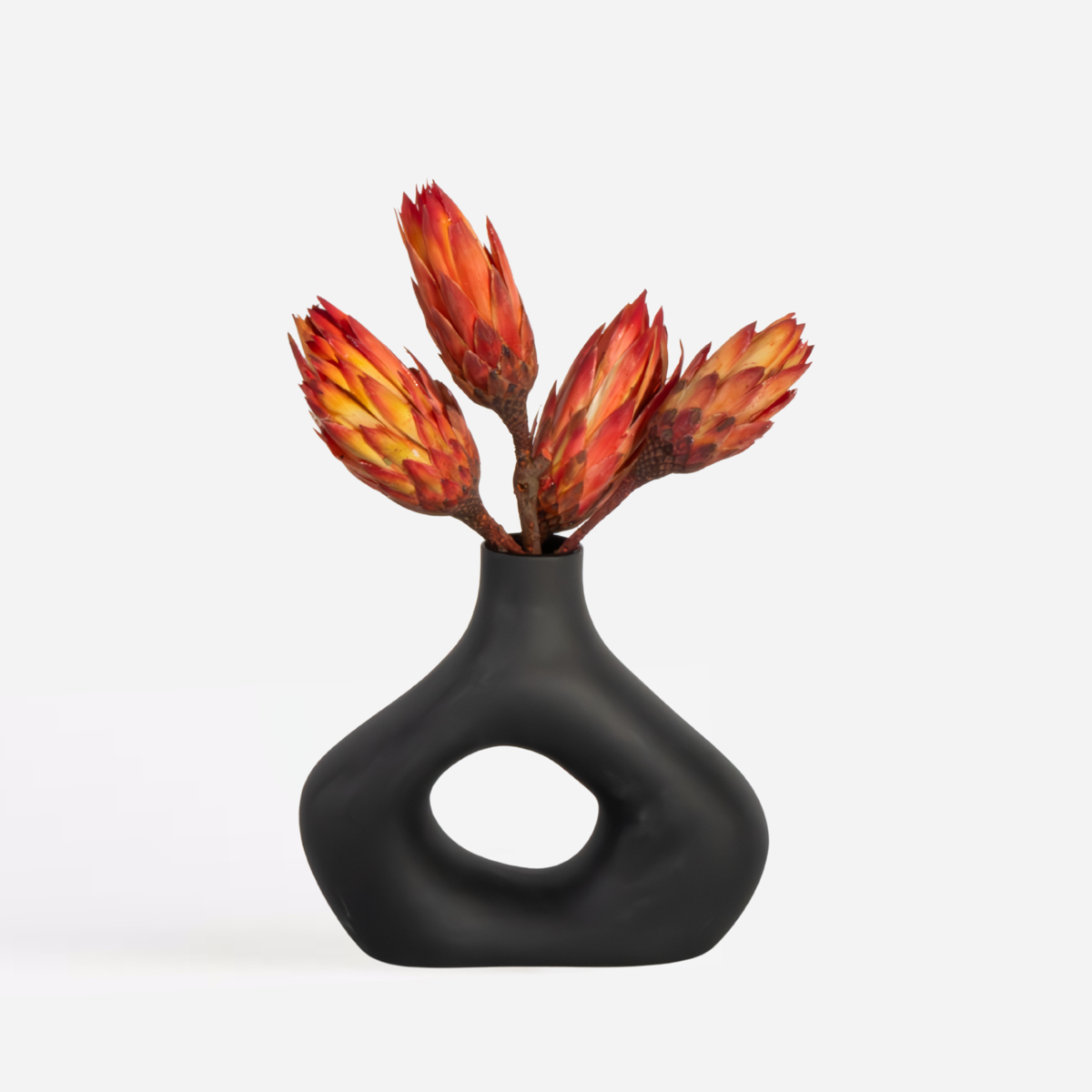 Dried Flowers Getrocknete Blumen - 5 Stk. - Strauß 'Protea Pendula Red'