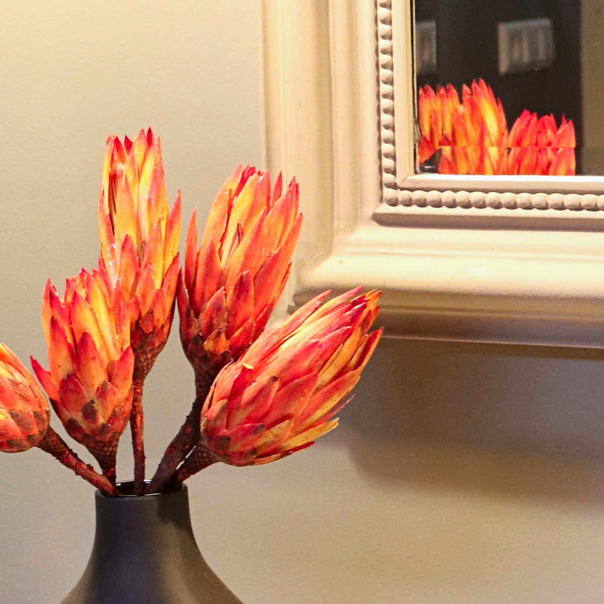 Dried Flowers Getrocknete Blumen - 5 Stk. - Strauß 'Protea Pendula Red'