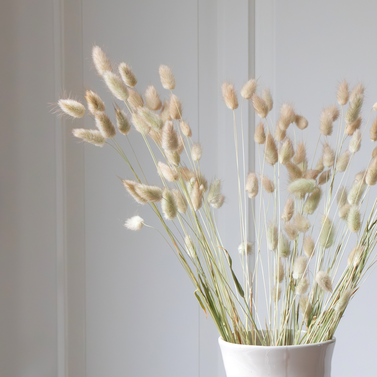 Dried Flowers Getrocknete Blumen - Strauß 'Lagurus Bunny Ears'