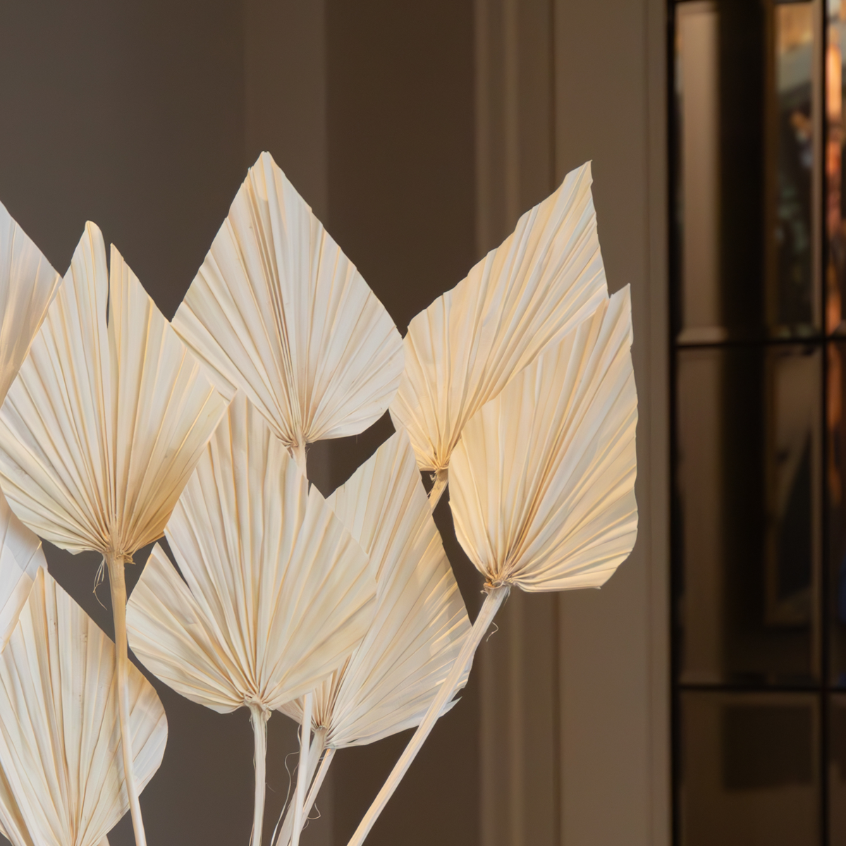 Dried Flowers Getrocknete Blumen - 10 Stk. - Strauß 'Palmspear Bleached White'