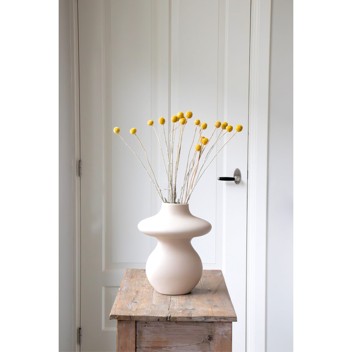 Dried Flowers Getrocknete Blumen - Strauß 'Craspedia Natural Yellow'