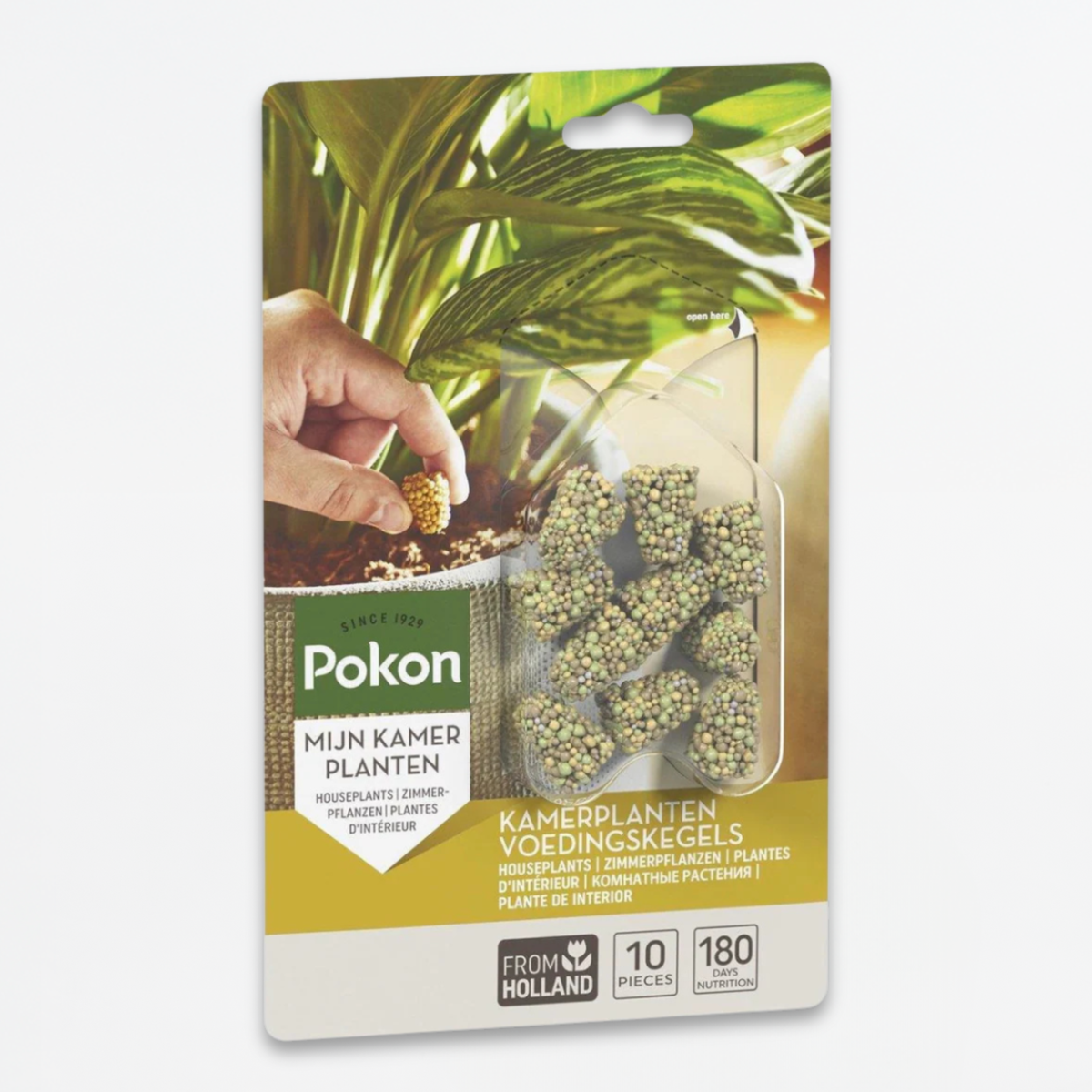 Plant Food Pokon Futterkegel Zimmerpflanzen - 10 Stück