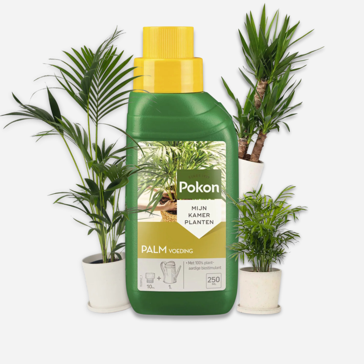 Plant Food Pokon Flüssiges Pflanzenfutter – Palmen – 250 Ml