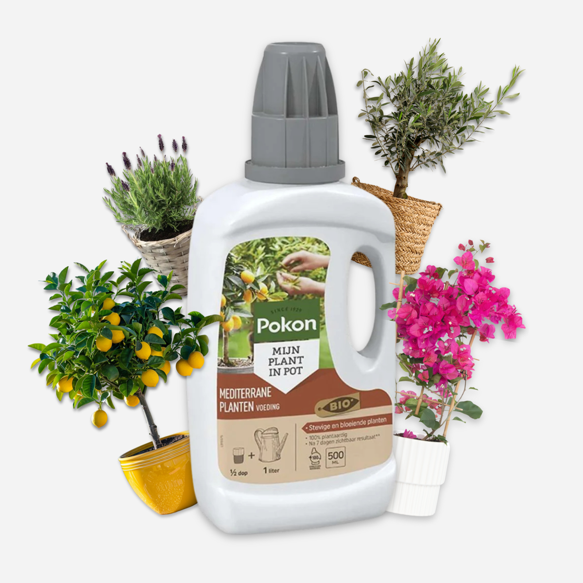 Plant Food Pokon - Flüssiger Pflanzendünger Mediterrane Pflanzen - 500Ml