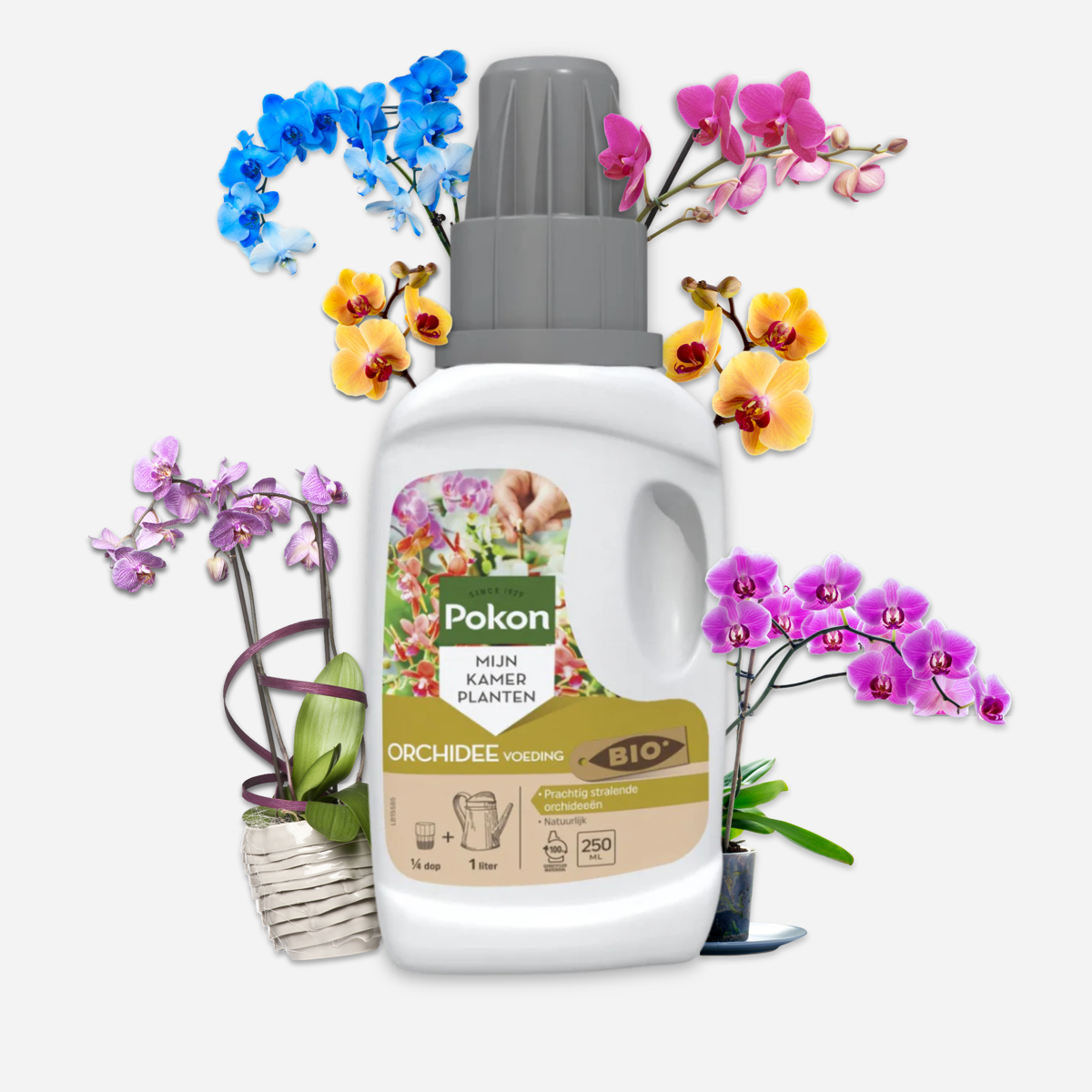 Plant Food Pokon Flüssiges Pflanzenfutter – Orchideen – 250 Ml