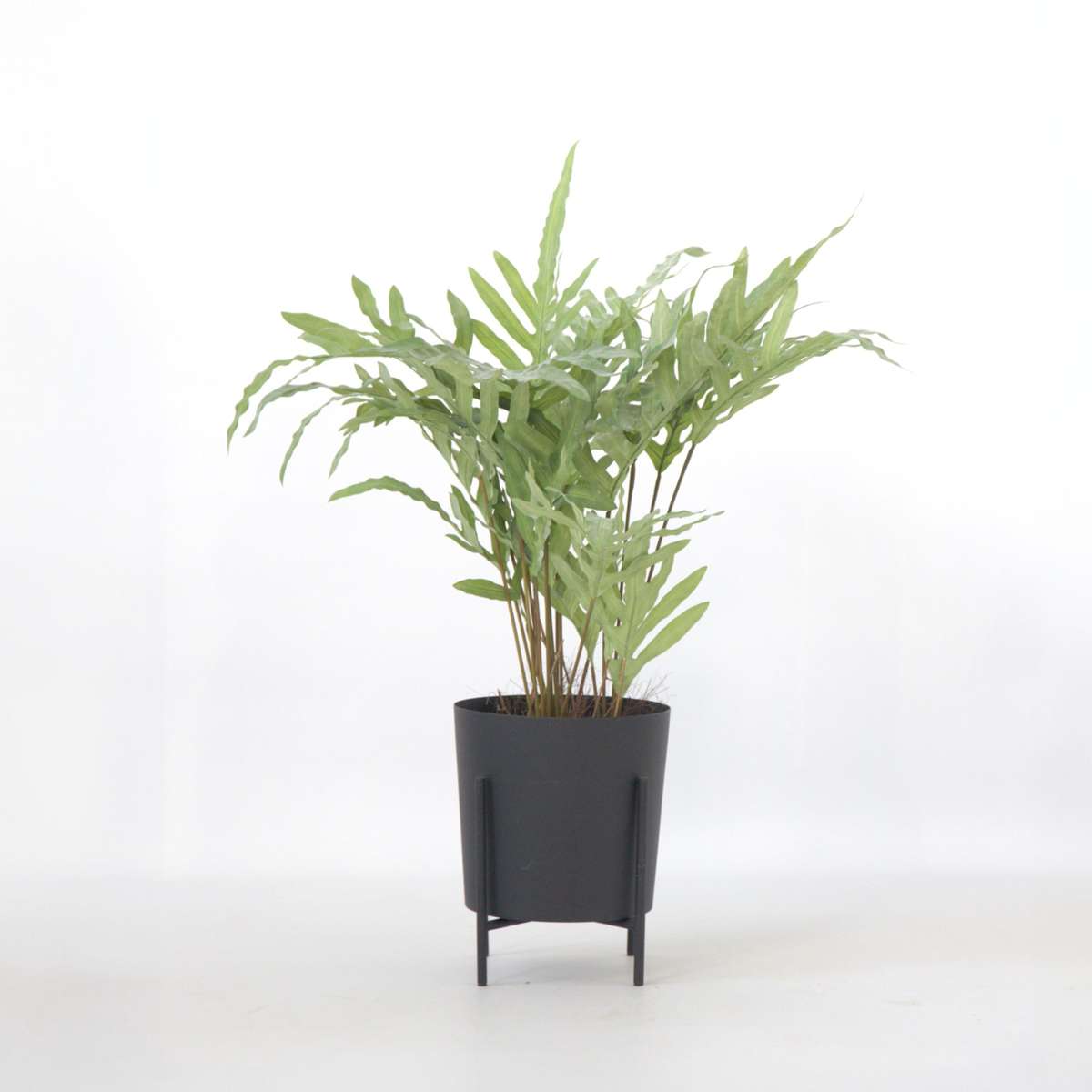 Artificial Plants Künstliches Phlebodium – Höhe 80Cm