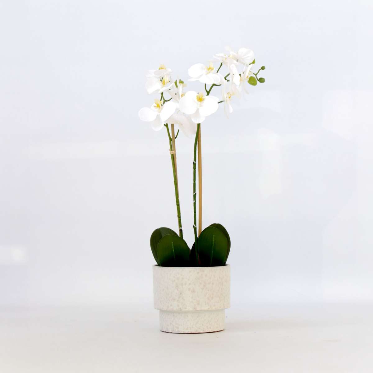 Artificial Plants Künstliche Phalaenopsis-Orchidee – Höhe 55Cm