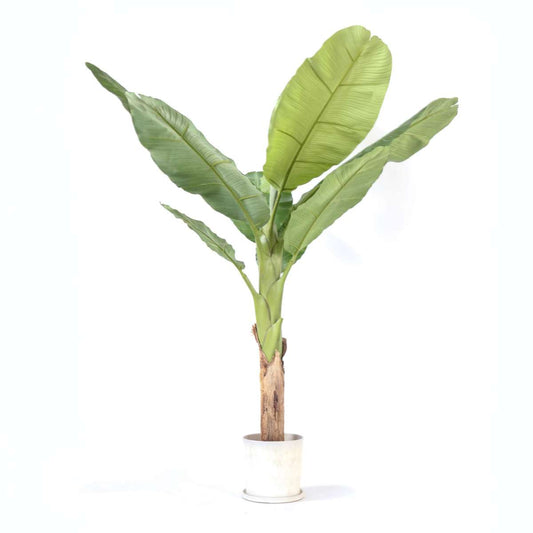 Artificial Plants Künstliche Musa-Bananenpflanze – Höhe 150Cm