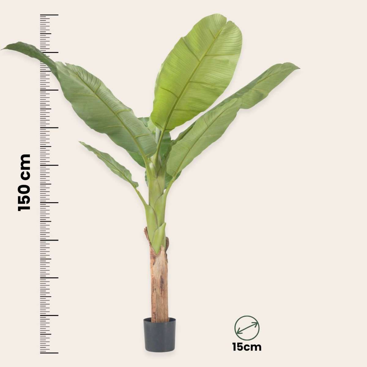 Artificial Plants Künstliche Musa-Bananenpflanze – Höhe 150Cm