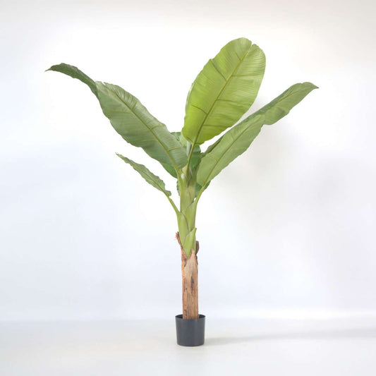 Artificial Plants Künstliche Musa-Bananenpflanze – Höhe 150Cm
