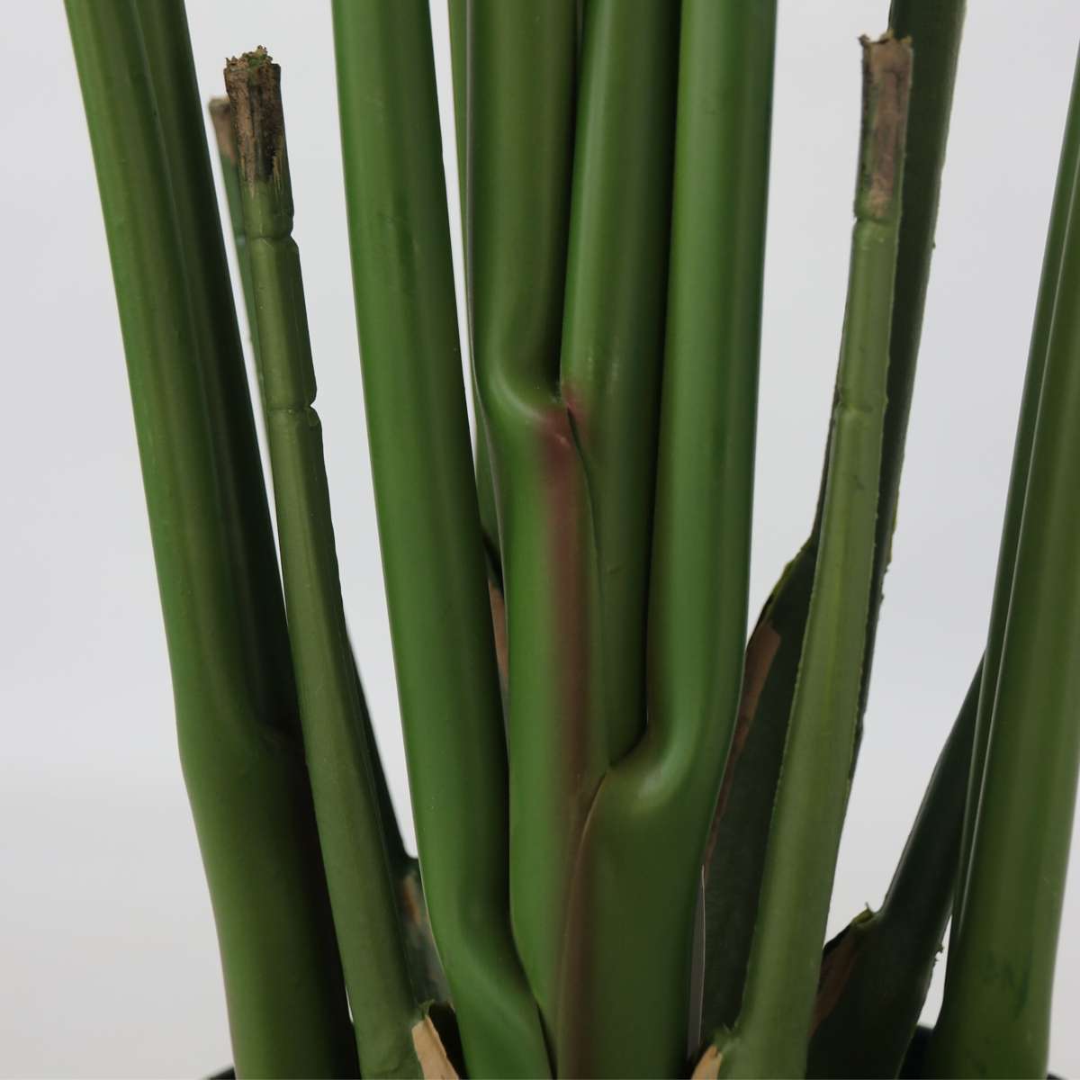 Artificial Plants Künstliche Strelitzie – Höhe 160Cm