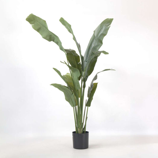 Artificial Plants Künstliche Strelitzie – Höhe 160Cm