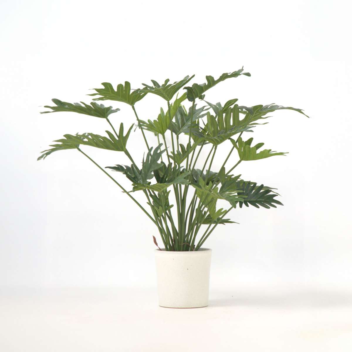 Artificial Plants Künstlicher Philodendron „Selloum“ – Höhe 65Cm