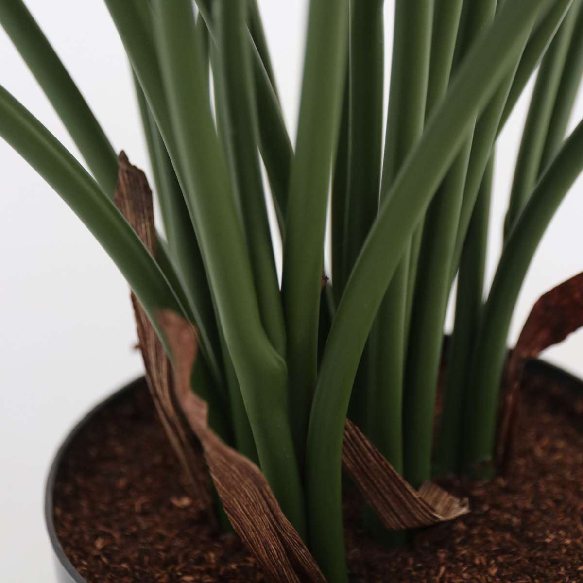 Artificial Plants Künstlicher Philodendron „Selloum“ – Höhe 65Cm