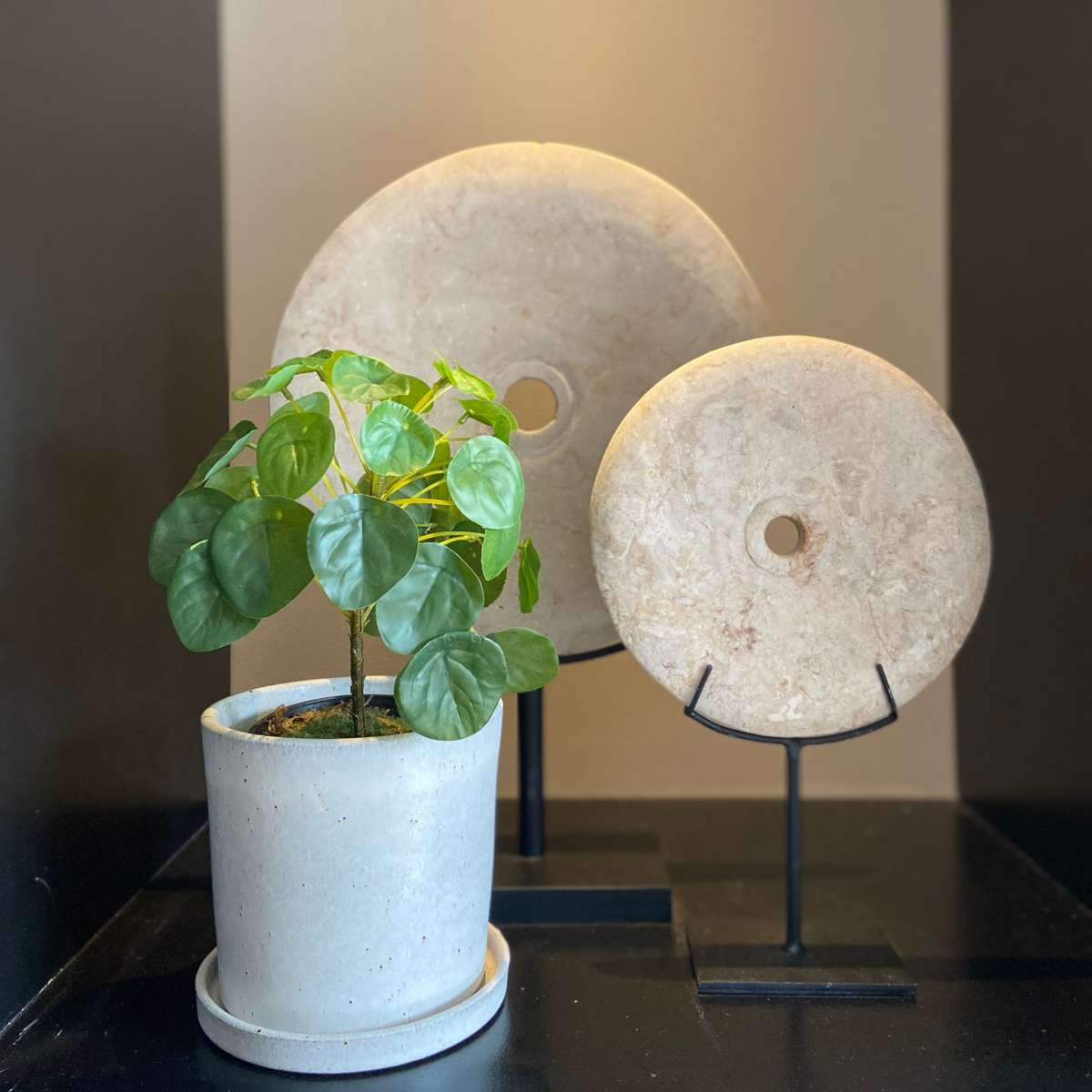 Artificial Plants Künstliche Pilea Peperomioides – Höhe 25Cm