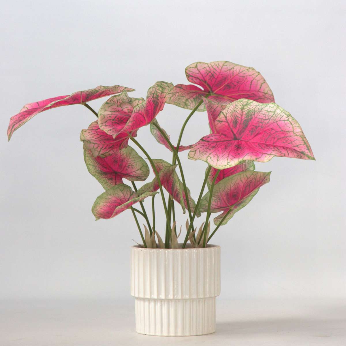 Artificial Plants Künstliche Caladium – Höhe 60Cm