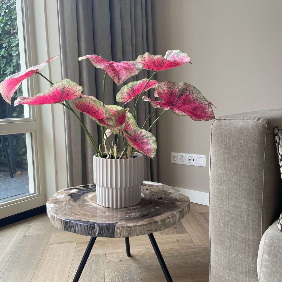 Artificial Plants Künstliche Caladium – Höhe 60Cm