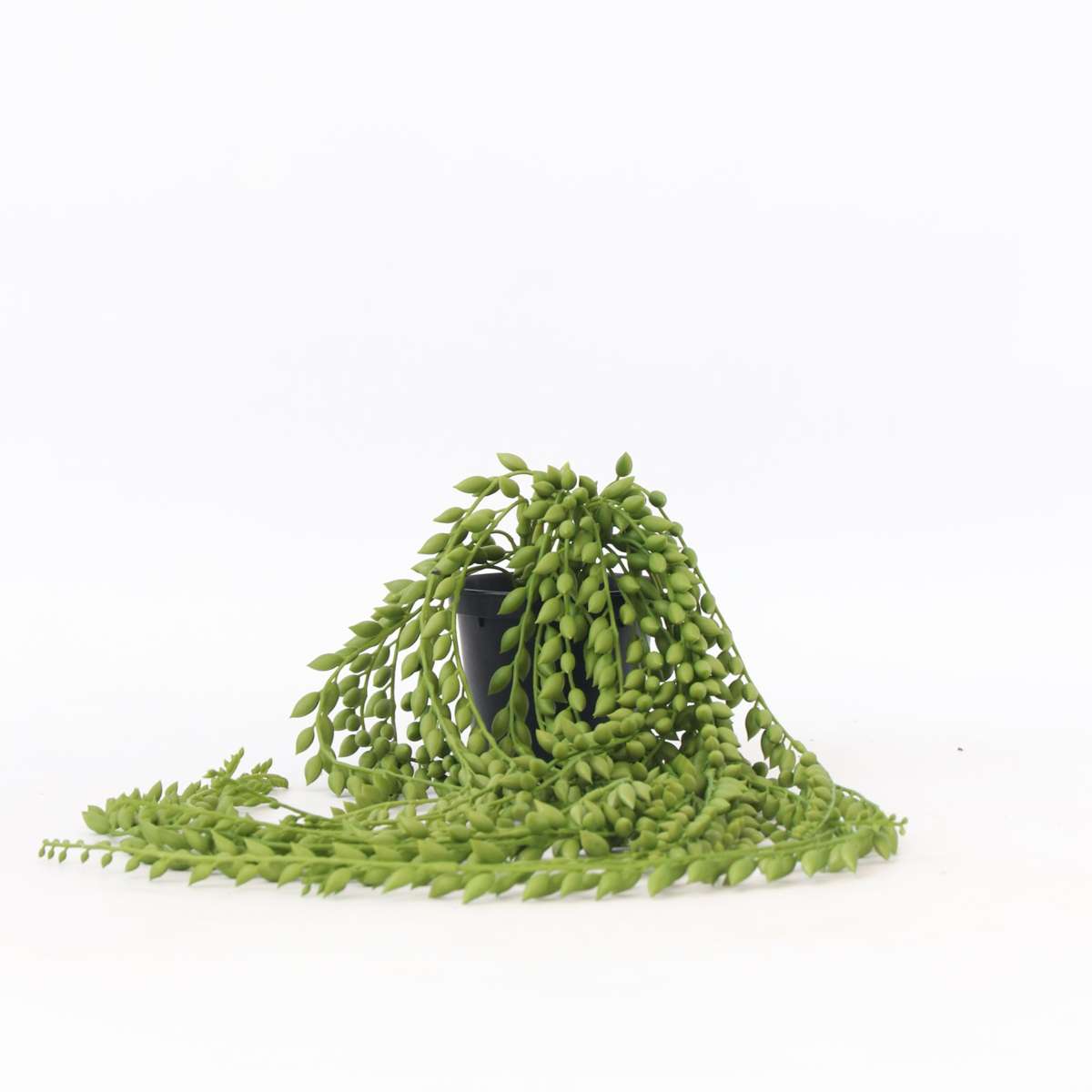 Artificial Plants Künstlicher Senecio – Höhe 90Cm