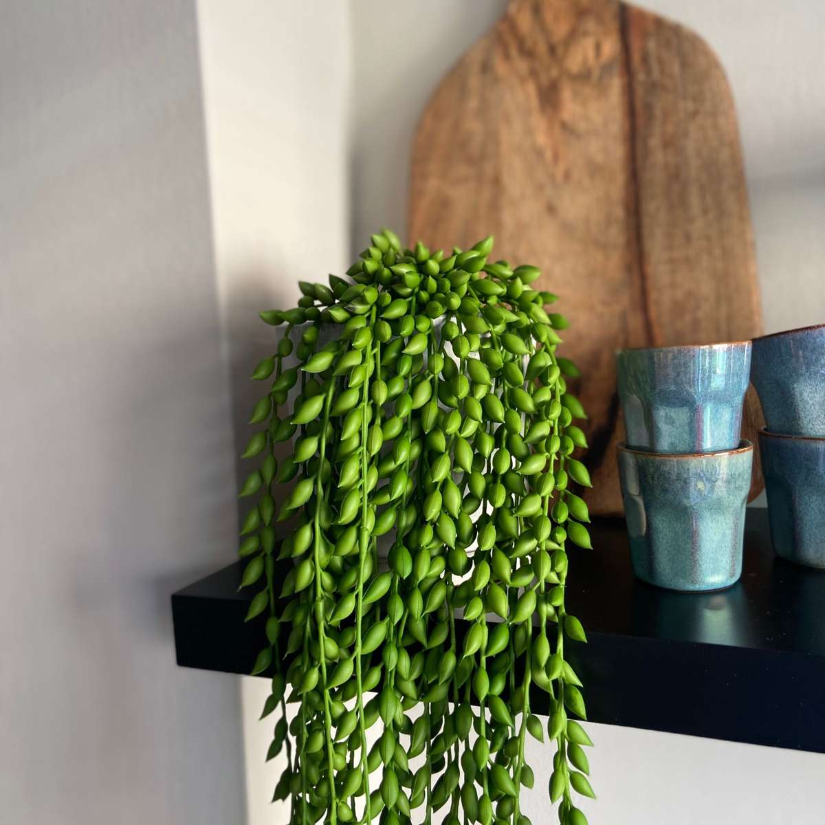 Artificial Plants Künstlicher Senecio – Höhe 90Cm