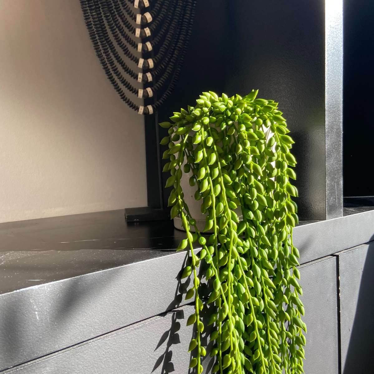 Artificial Plants Künstlicher Senecio – Höhe 90Cm