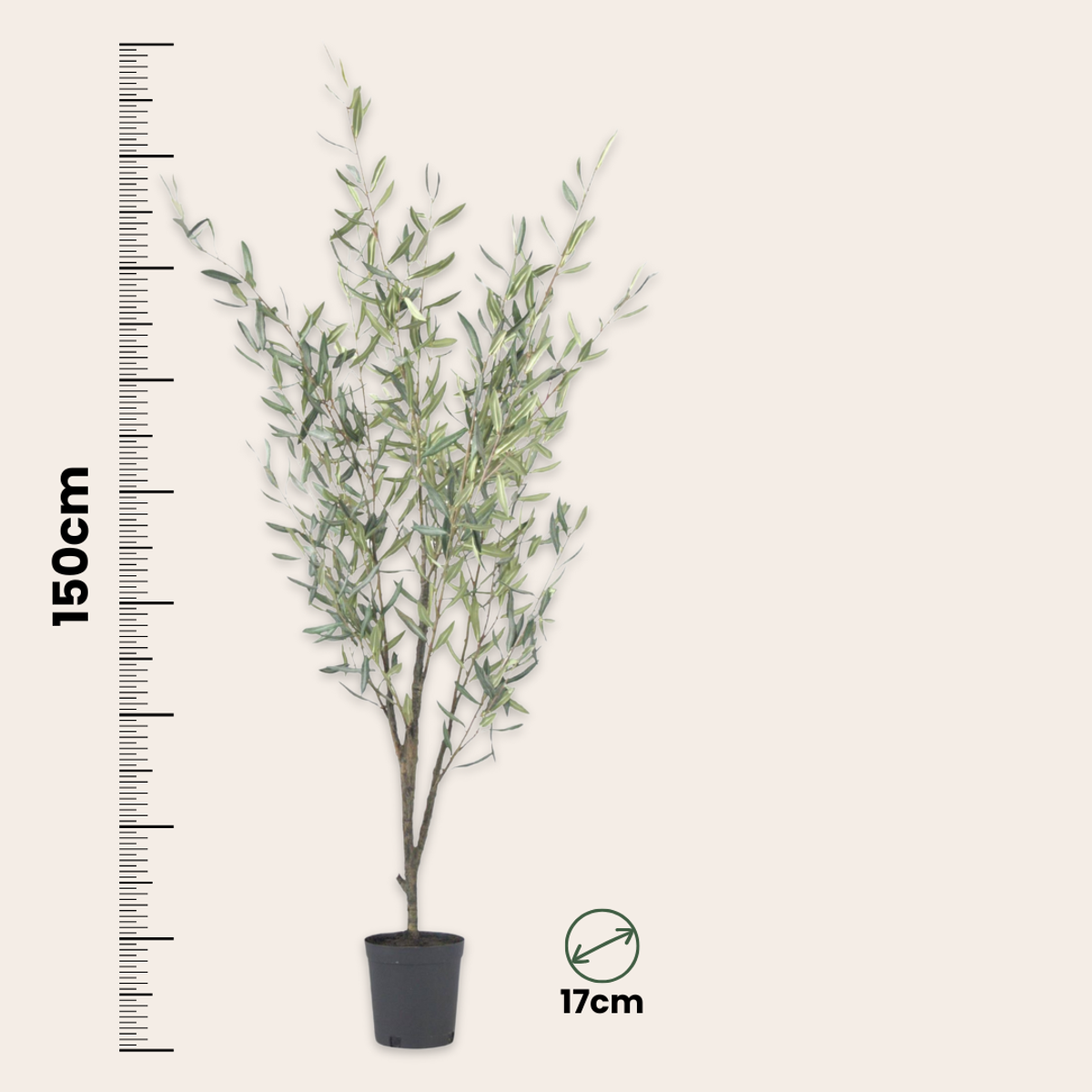 Artificial Plants Künstlicher Olivenbaum – Höhe 150Cm