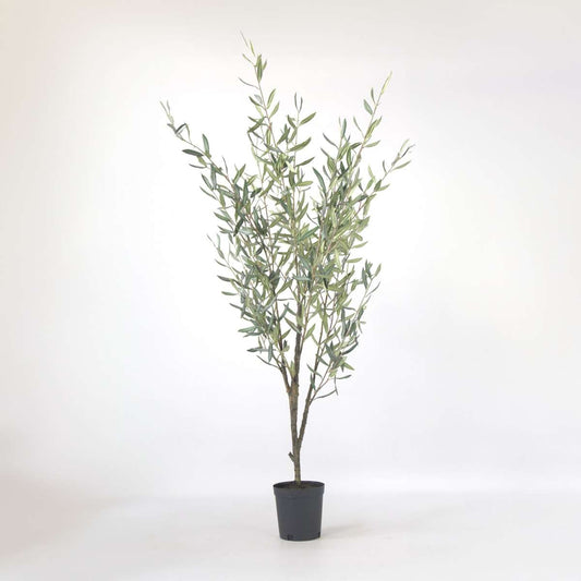 Artificial Plants Künstlicher Olivenbaum – Höhe 150Cm