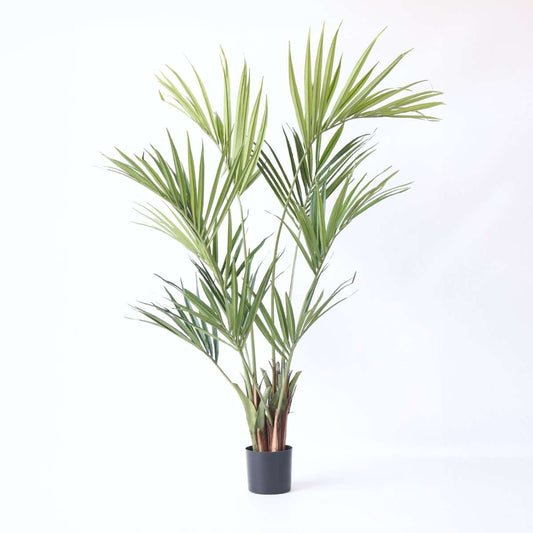 Artificial Plants Künstliche Kentia – Höhe 150Cm