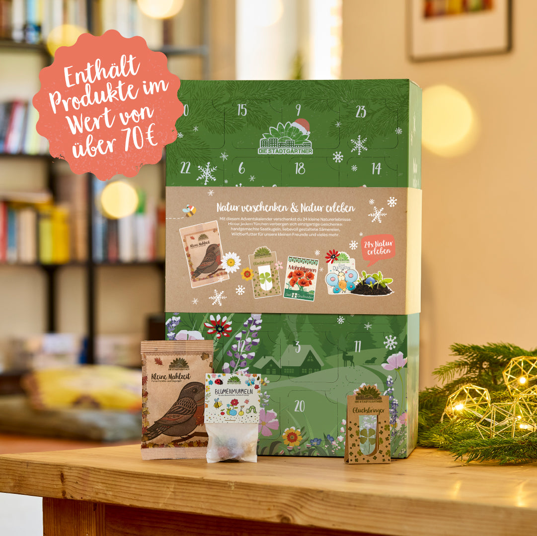 Stadtgärtner-Adventskalender "Naturerlebnis"