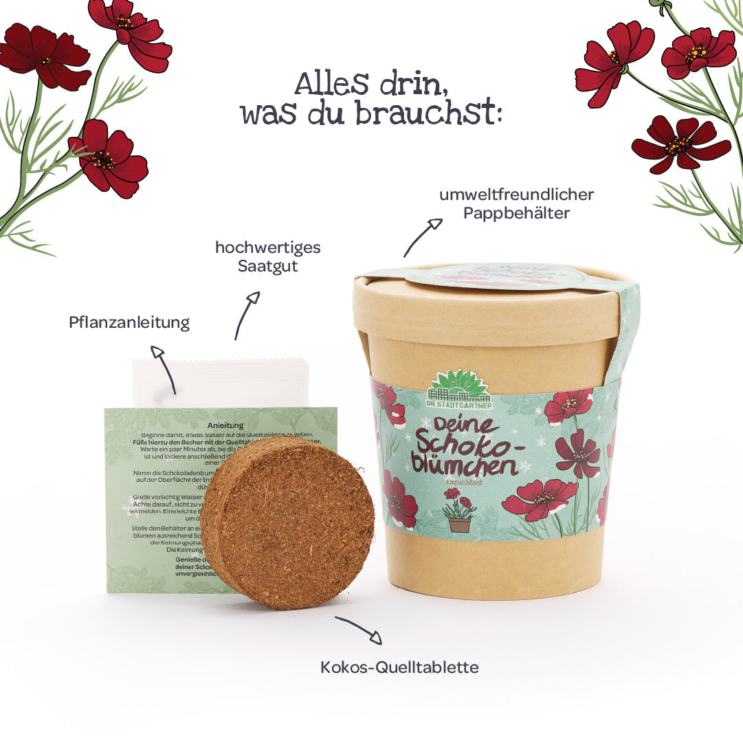 Schokoblumen aus dem Becher