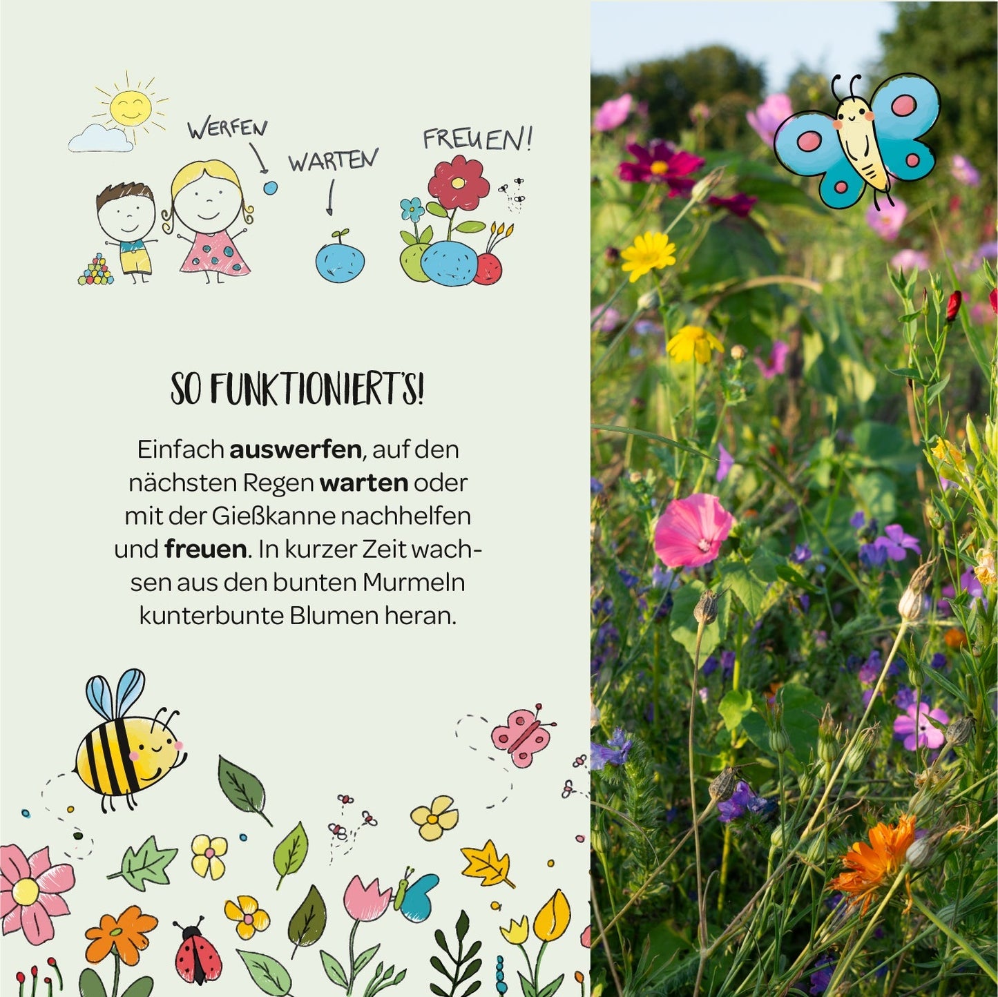 1 Blumenmurmel "Finns Wilde Wiese"