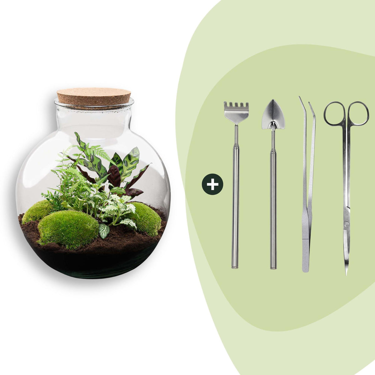 Flaschengarten Bolder Bob – Ø31cm – ↕30cm – DIY Terrarium mit Korkdeckel & Pflanzen – Ansicht 9