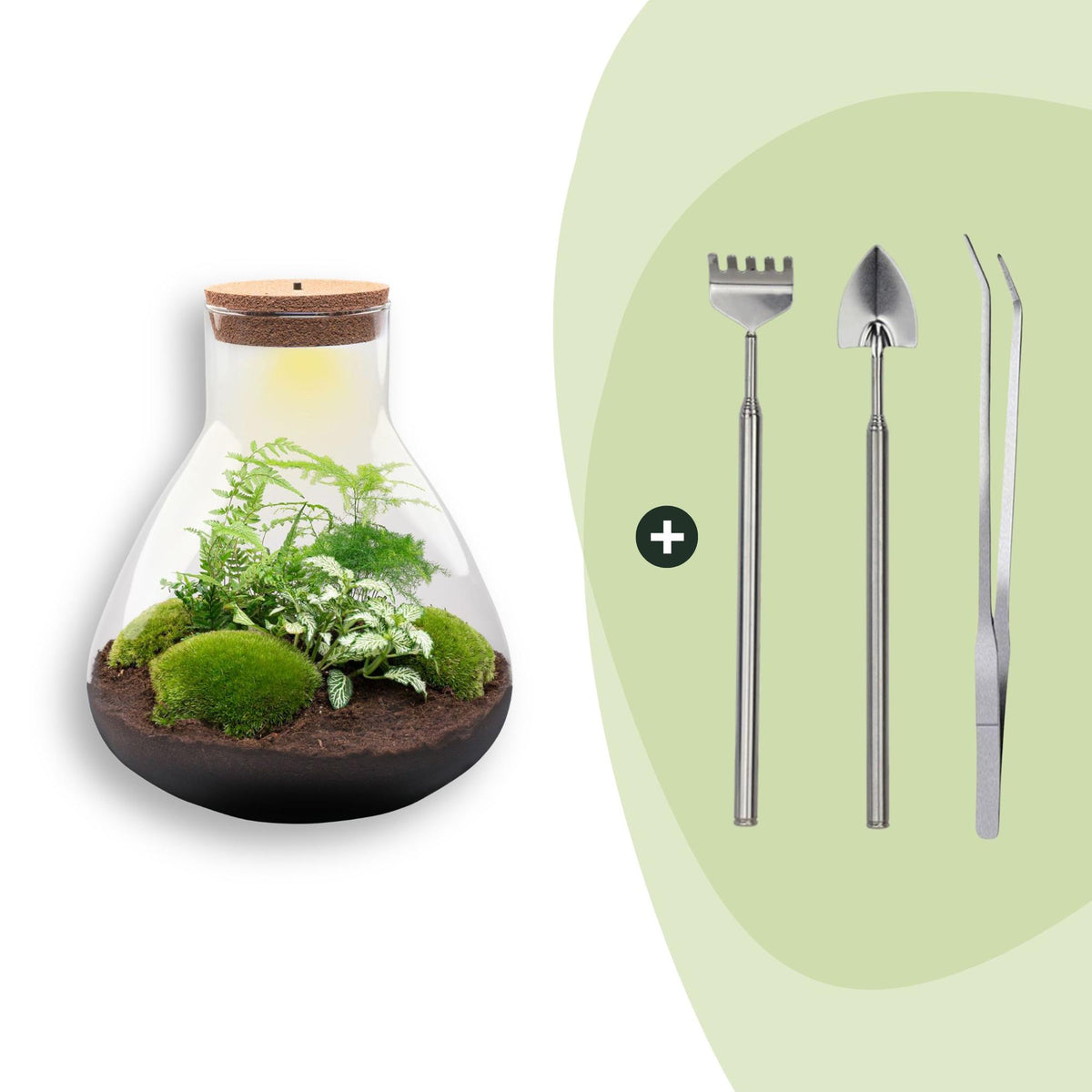 Flaschengarten Sam XL – DIY Bausatz Terrarium – ↕35cm – Do – It – Yourself Pflanzen – Set mit Korkdeckel – Ansicht 10