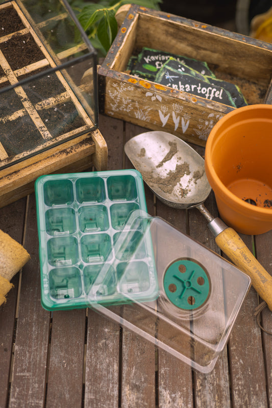 5er Anzuchtschalen Gewächshaus Set mit Deckel – je 12 Pflanzplätze mit Belüftung – Mini Gewächshaus für Fensterbank – mit Drainagelöchern & Auffangschale – für Gemüse Kräuter Blumen