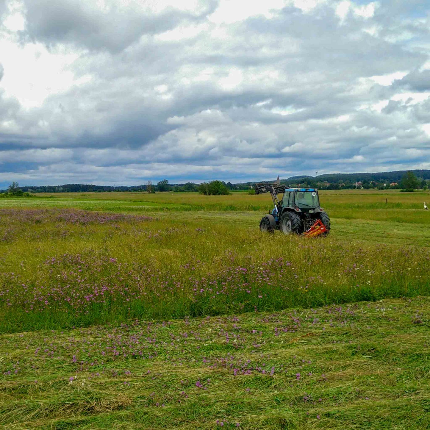 Kräuterheu Pellets Gartenmulch – 100% Naturpellets aus Kräuterwiesen – Organischer Bodenverbesserer für Hochbeet Gemüse & Zierpflanzen – Nachhaltige Mulchpellets