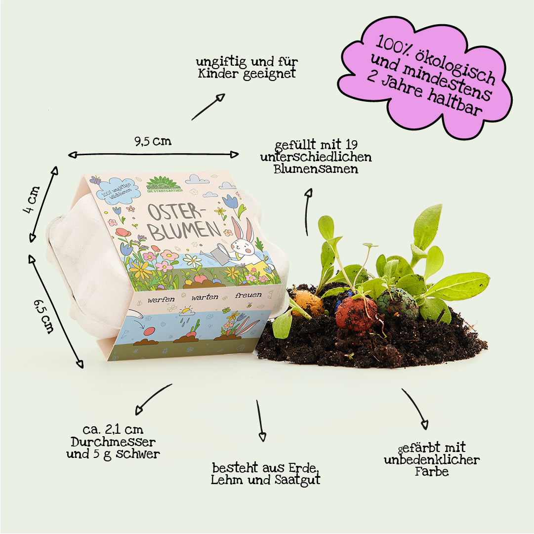 6 bunte Blumenmurmeln im Eierkarton
